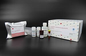 Cytotoxicity kit-xtt