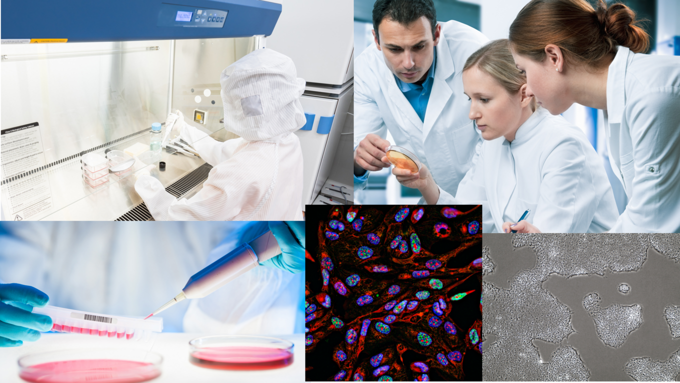 collage of generic lab and cell images