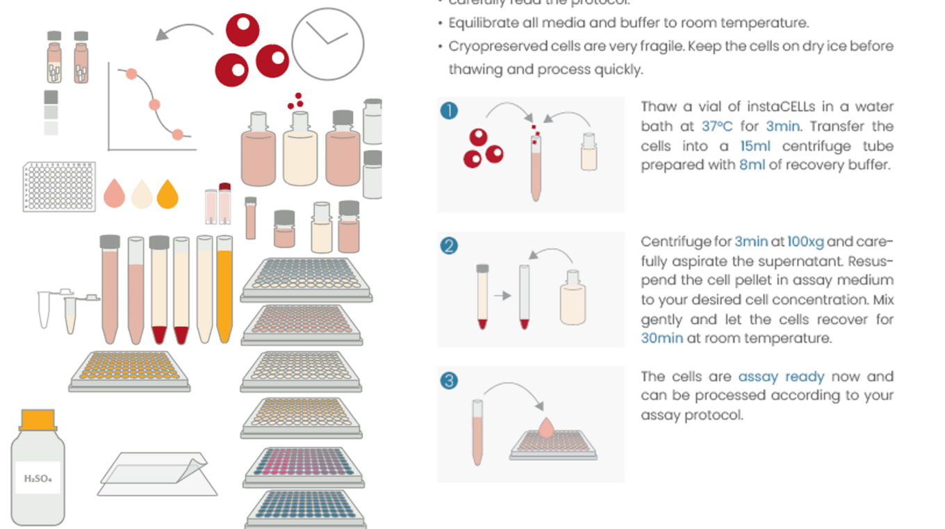 examples of manual illustrations