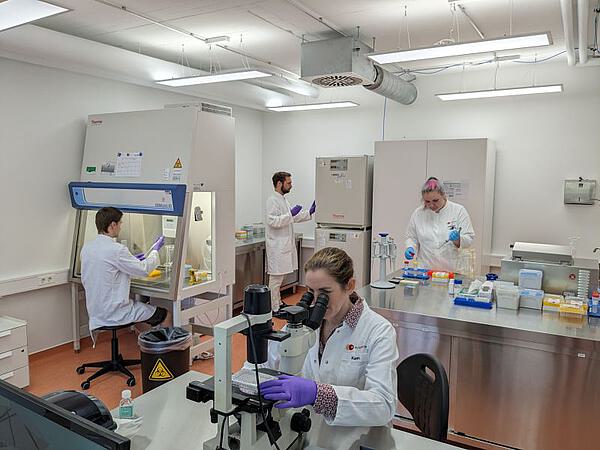 R&D R&D