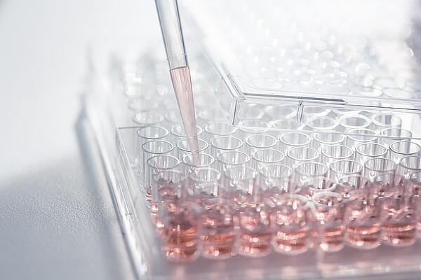 accellerate_assay-plate