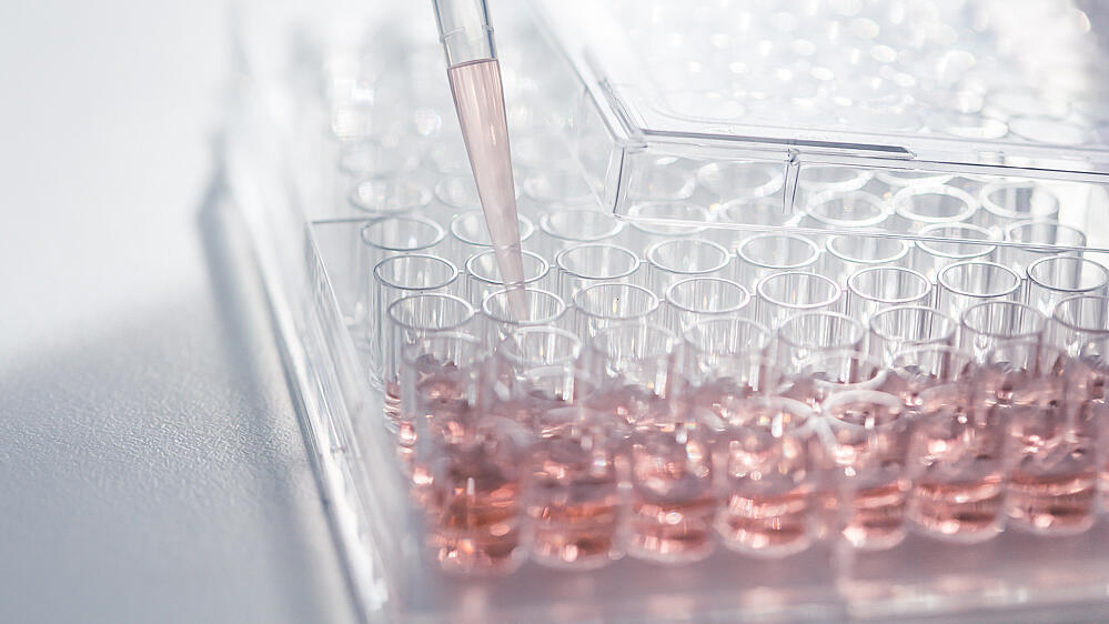 accellerate_assay-plate