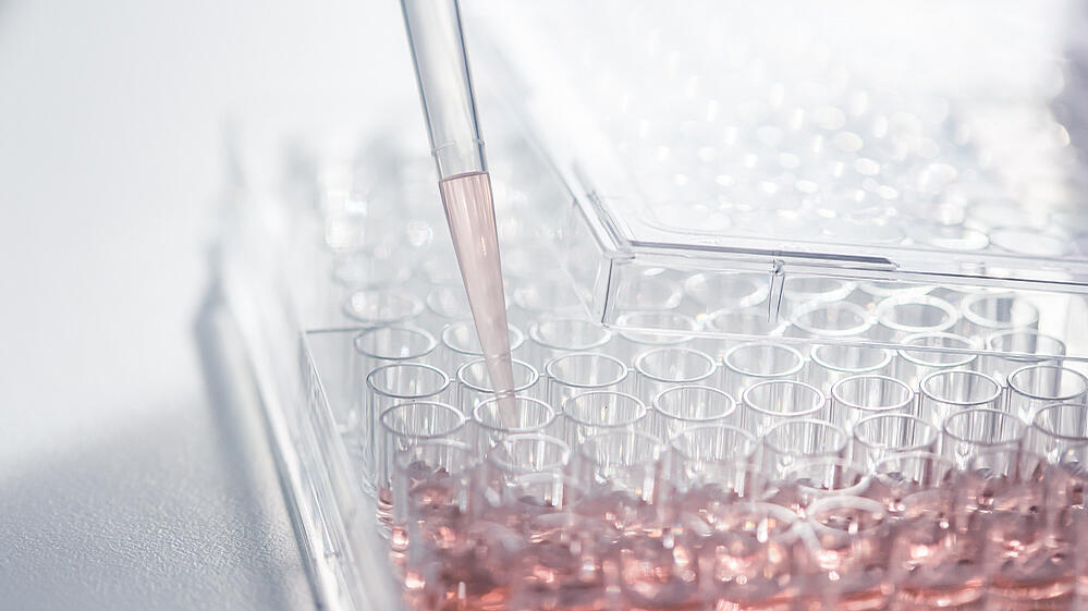 accellerate_assay-plate
