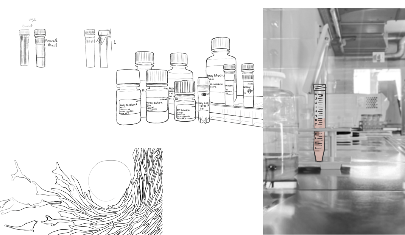 collage of digital sketches of lab plastic ware