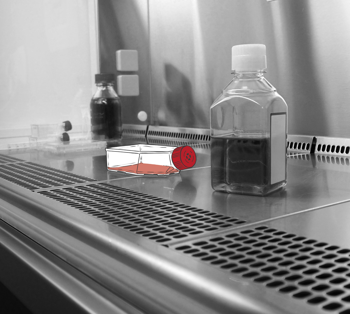 cell banks tailored for your needs