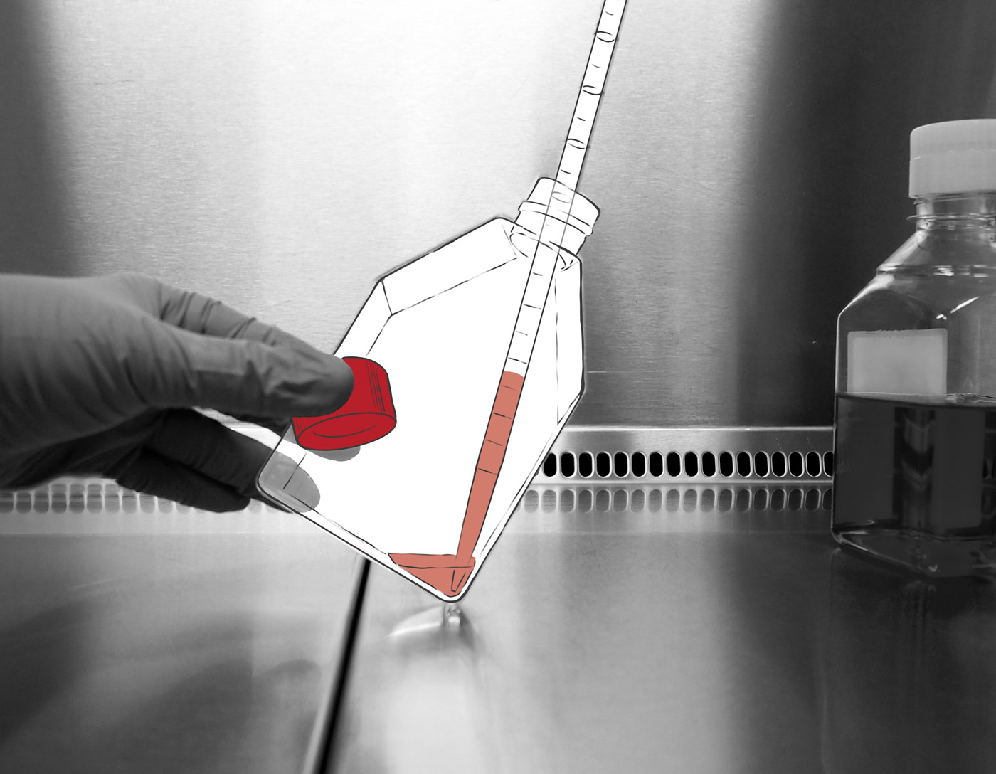 cell quality - the essence of a successful assay